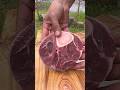 Osso Buco Steak 