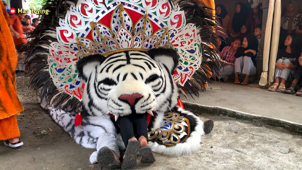 Cewek Cantik Dimakan Barongan Sekar Mulya Jaya Di Desa Geneng Mijen Demak