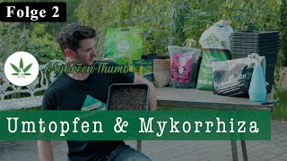 Grow Vergleich mit Sonnenerde QBE und Growshit Folge 2