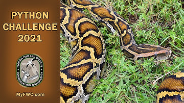 2021 Florida Python Challenge®