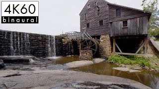 Walk of Millpond Trail at Historic Yates Mill County Park | Nature Sounds for Sleep and Study
