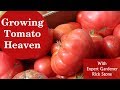 Growing Tomato Heaven Online Video Course