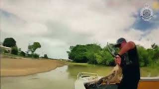 WATCH: Australian police rescues young kangaroo from floodwater