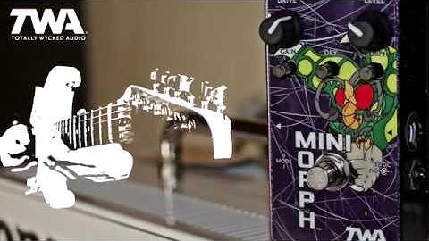 The New TWA Mini Morph Versatile Dynamic Fuzz