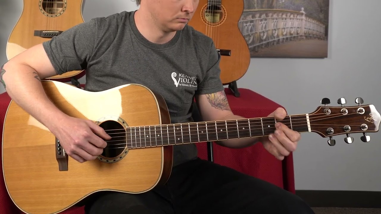 CLEARANCE Antonio Giuliani DN-6 Dreadnaught Rosewood Acoustic