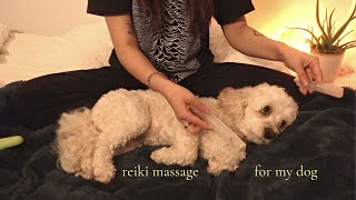ASMR Reiki Massage on my Dog (Chakra Cleansing, Crystals, Hand movements, Softspoken, Rain sounds) screenshot 5