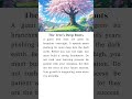 The Tree’s Deep Roots | Patience and Growth | English with Okono #englishspeaking #learnenglish