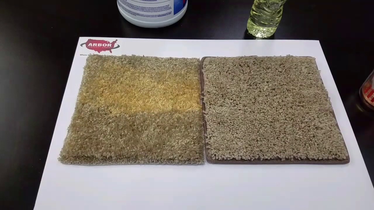 Arbor Carpet Bleach Test 2017