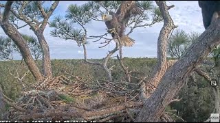 NEFL Eagle Cam: 'One Stick Two Rails' (short) by C Mitchell 200 views 1 year ago 1 minute, 10 seconds