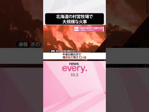 【北海道の村営牧場】大規模な火事  24時間たっても鎮火せず  #shorts