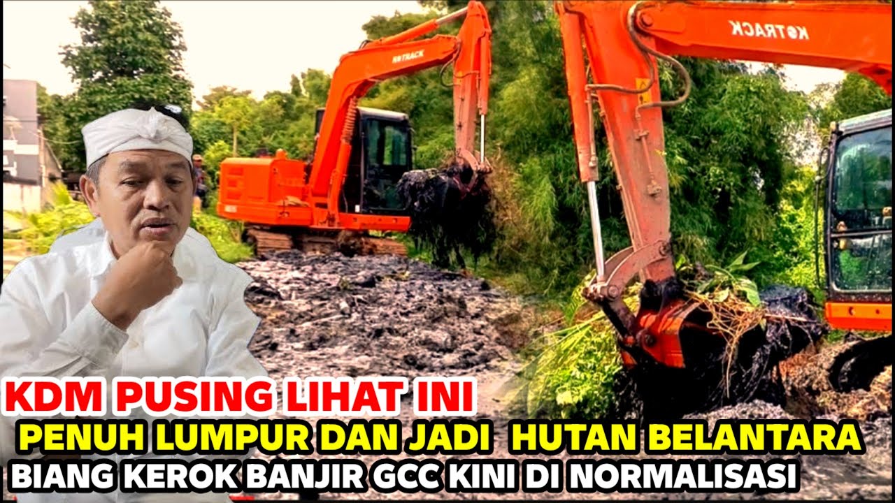 JANGAN KAGET ‼️ BUKAN DI AMAZON ‼️ INI PENAMPAKAN KALI DAN HUTAN KALI GCC CINITY 