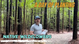 Off Grid Homestead: Erosion Control- WILDFLOWERS