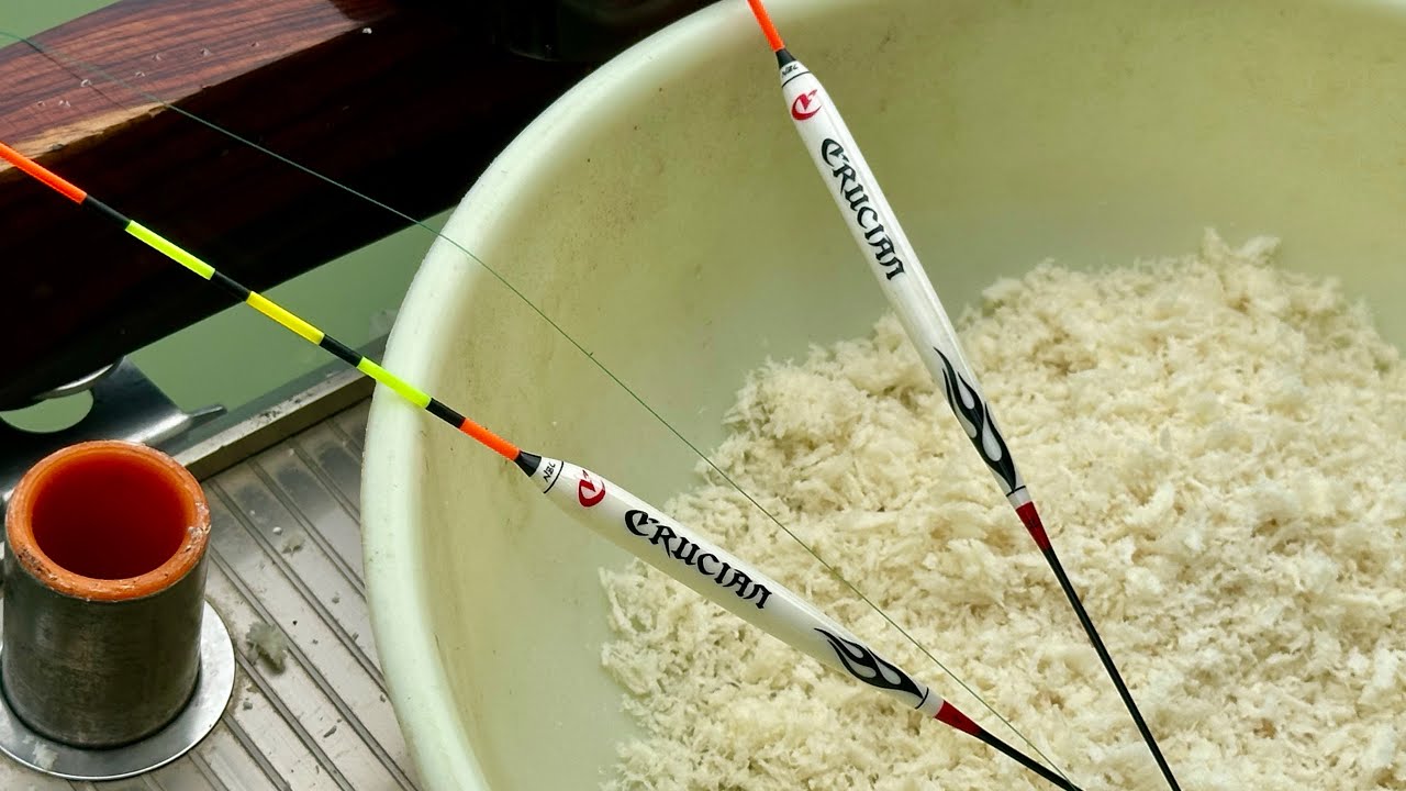 5 มิถุนายน ค.ศ. 2024