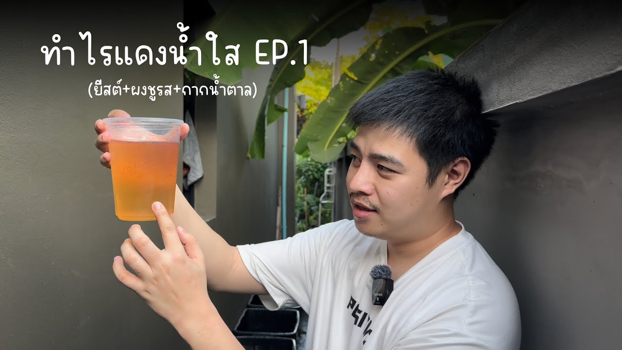 ทำไรแดงน้ำใส EP.1