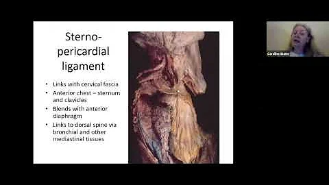 Caroline Stone | Anatomy of the Mediastinum | Inst...