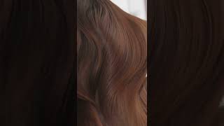 Artistry Meets Wellness in Hair Rejuvenation
