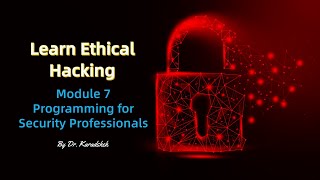 Module 7 Programming for Security Professionals
