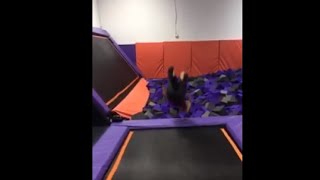 Kid Misses The Foam Pit While He Attempts To Do A Backflip Off A Trampoline