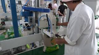 Automatic seeds weighting and bagging machines, #seeds , #baggingmachine ,#bagclosingmachine, #DS-9C