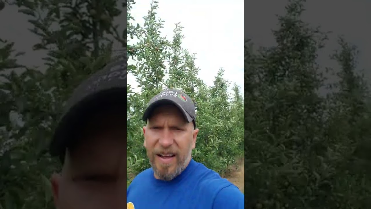 IFTA Crop update, Brett Kast Western New York July 1, 2022