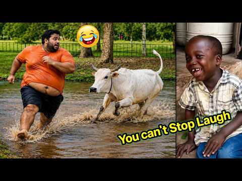 Try Not To Laugh Challenge | Best Funny Videos Compilation (IMPOSSIBLE)