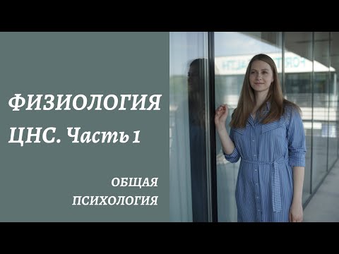 Физиология центральной нервной системы. Основные моменты. Часть 1.