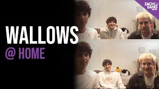 Wallows Talks Nobody Gets Me (Like You), Remote & How They Became Wallows