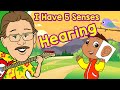 I have 5 senses  hearing  jack hartmann sense of hearing