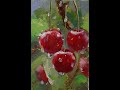 Рисуем вишню (draw a cherry). Мастер-классы Вугара Мамедова.