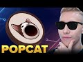 Don't Fade $POPCAT! Easy 10x from here