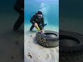 Unexpected Ocean Rescue Stuns Divers #oceanlife #wildlife #rescues