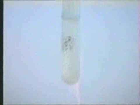 C + HNO3 dac - youtube