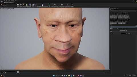 (Tutorial) UE5 Mesh Morpher - Fit Meta Human Skeleton to Morph Target