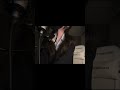 〝恋〟#歌ってみた #커버 #cover #backnumber #커버보컬