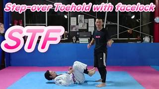 STF プロレス技 サブミッション 関節技 蝶野正洋さんの技