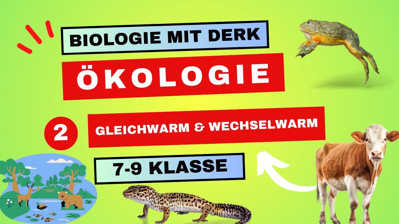 Gleichwarme Und Wechselwarme Tiere Arbeitsblatt Ökologie | 2 | Gleichwarme & Wechselwarme Tiere | 7 - 9 Klasse - YouTube