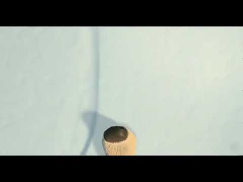 დიდი გამყინვარება