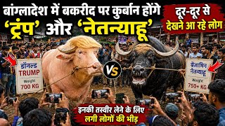 बांग्लादेश में बकरीद पर कुर्बान होंगे ‘ट्रंप’ और ‘नेतन्याहू’ 😱 | देखने उमड़ी लोगों की भीड़ l #news