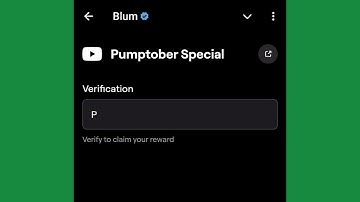DeFi Risks: Key Insights | Blum Video Code 3 November #blum #blumcode