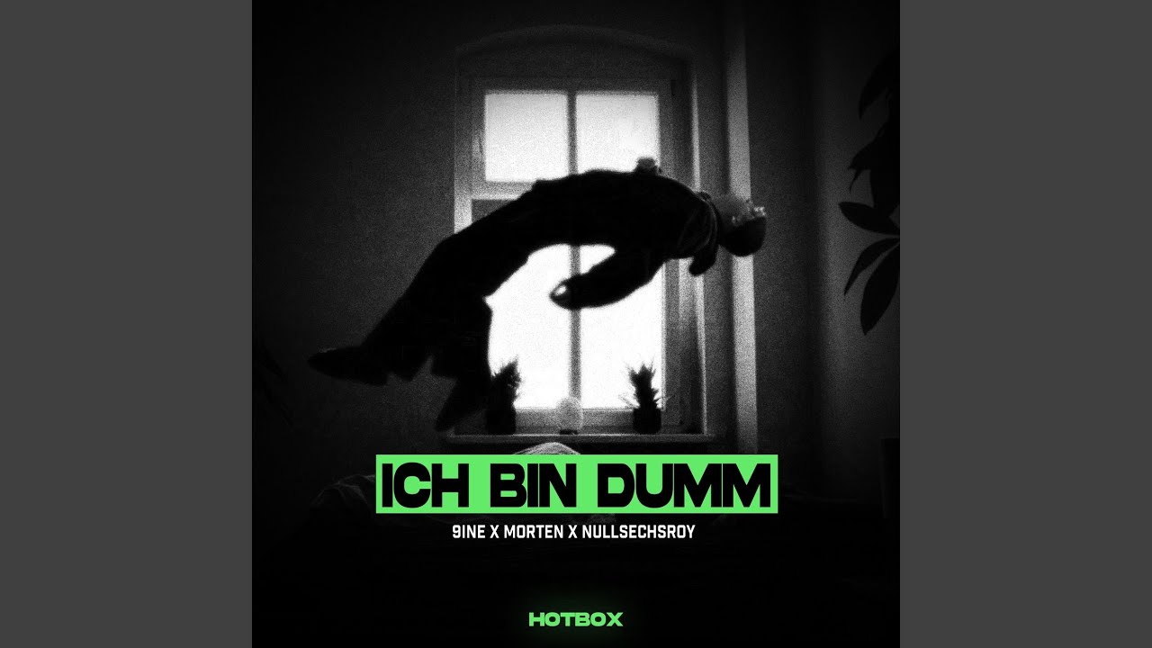 Ich Bin Dumm Auf Englisch ICH BIN DUMM - YouTube