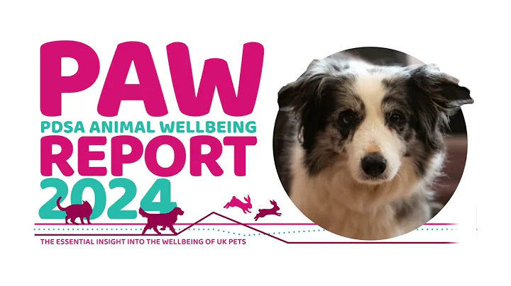 PDSA 2024 Animal Wellbeing (PAW) Report | Key Findings About Dogs