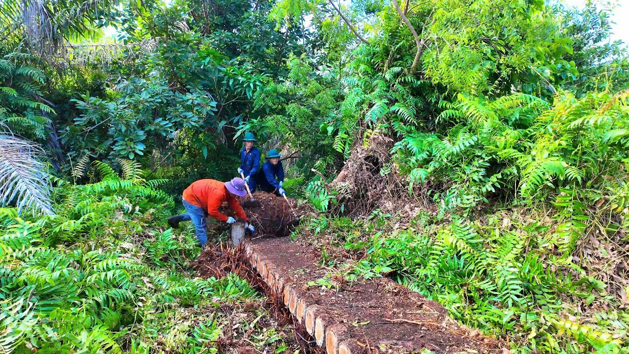 Buried Under 7 Years of Wild Growth – The Forgotten Path Returns