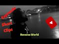 Reverse World 2019