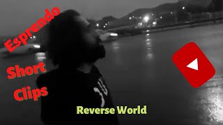Reverse World 2019