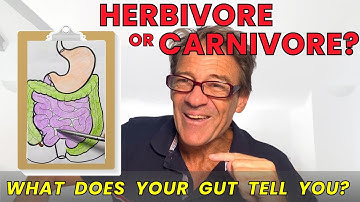 ARE WE DESIGNED TO EAT MEAT OR VEGETABLES? Herbivore vs Carnivore: Anatomy Comparison