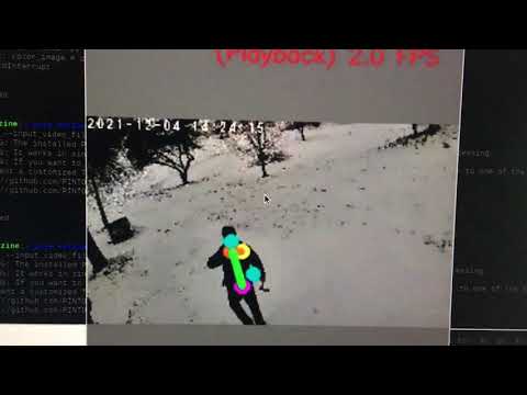 pose estimation on rpi4