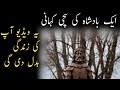      ایک بادشاہ کی سچی کہانی