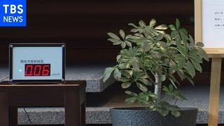 首相官邸に福島の除染土を使った鉢植え設置