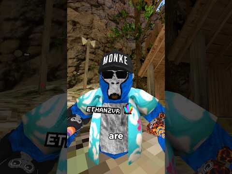 My Suggestions for Gorilla Tag! pt.2 #gorillatag #gtag #vr @_@_GorillaTagVR