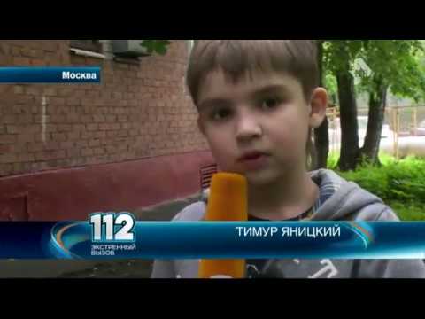 Видео: 7-летний мальчик спас более 1000 собак из приютов для убийц